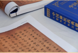 臨滄中醫夜市|交流借鑒促發展，鎮康專場啟新篇